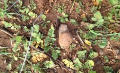 Yağmur suyu hasadı ve hendek işleri